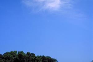 静岡市葵区の家族葬に最適な葬儀場【家族葬のタクセル新伝馬】の特徴と店舗情報