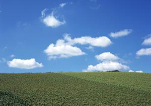 【公式】さがみ典礼 宇都宮御苑の特徴と料金情報｜安心して任せられる葬儀場