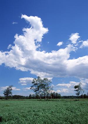 【最新版】栃木市の信頼できる葬儀場｜さがみ典礼 栃木昭和町の特徴とサービス詳細