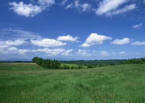 静岡市清水区の安心葬儀を提供する【富士葬祭 双樹】?家族葬から直葬まで多彩なプランをサポート