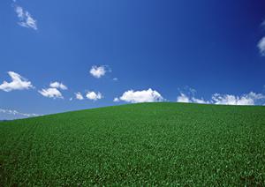 静岡県浜松市で信頼できる葬儀サービス：富士葬祭 高林の詳細ガイド