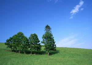 【2025年最新版】さいたまで葬儀を成功させるための完全ガイドと選び方