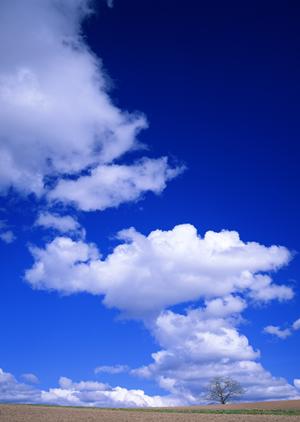 静岡県藤枝市に根ざした信頼の葬儀サービス – 富士葬祭 藤枝の魅力と特徴