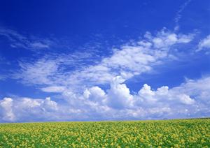 静岡市と静岡県内で最適な家族葬・火葬を提案する家族葬のタクセル