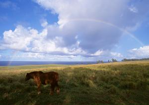 静岡県浜松市中央区で安心と低価格を実現する家族葬の専門斎場 ? 家族葬のタクセル葵西の全容解説