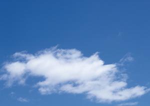 品川で選ぶ永代供養の最適解！費用やアクセス情報を徹底ガイド