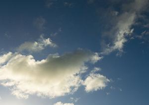 静岡市の安心と信頼の葬儀サービス | 富士葬祭静岡の特徴と店舗情報