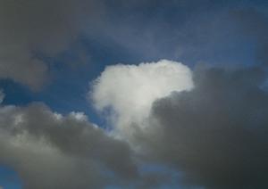 静岡県浜松市中央区の家族葬専門斎場【家族葬のタクセル住吉】｜低価格で温かみのある葬儀サービス